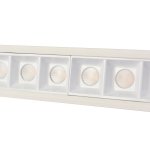 Потолочный светильник Favourite 3084-10C Roshni