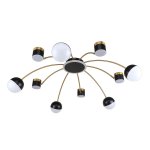 Потолочная люстра Favourite 3096-10P Canvas