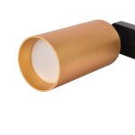 Потолочный светильник Favourite 4019-3U Imago