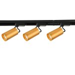 Потолочный светильник Favourite 4019-3U Imago