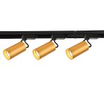 Потолочный светильник Favourite 4019-3U Imago