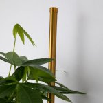 Настенный светильник Favourite 4050-2W Greenery