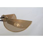 Подвесная люстра Favourite 4082-5P Harsh