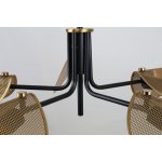 Подвесная люстра Favourite 4082-5P Harsh