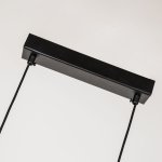 Подвесная люстра Favourite 4096-1P Raya