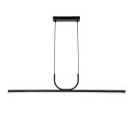 Подвесная люстра Favourite 4096-2P Raya