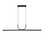 Подвесная люстра Favourite 4096-2P Raya