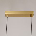 Подвесная люстра Favourite 4097-1P Raya