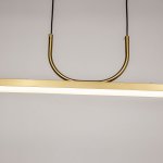 Подвесная люстра Favourite 4097-1P Raya