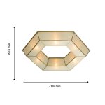 Потолочный светильник Favourite 4120-6C Politop
