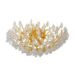 Потолочная люстра Favourite 4162-10C Pluvia