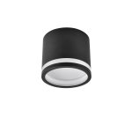 Потолочный светильник Favourite 4212-1C Festum