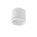 Потолочный светильник Favourite 4213-1C Festum