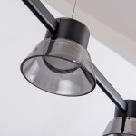 Подвесная люстра Favourite 4247-5P Twix