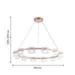 Подвесная люстра Favourite 4248-12P Ori