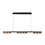 Подвесная люстра Favourite 4266-10P Interline