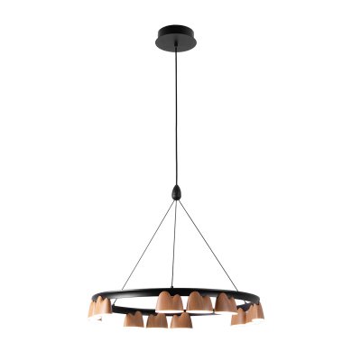 Подвесная люстра Favourite 4266-12P Interline