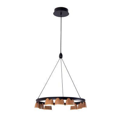 Подвесная люстра Favourite 4266-9P Interline