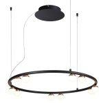 Подвесная люстра Favourite 4320-10P Knopp