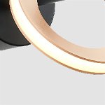 Настенный светильник Favourite 4322-1W Jongleur