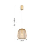 Подвес Favourite 4348-1P Galler