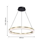 Подвесная люстра Favourite 4400-6P Cirkler