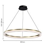 Подвесная люстра Favourite 4400-8P Cirkler