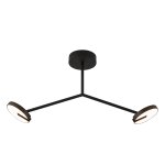 Потолочная люстра Favourite 4401-2C Paritet