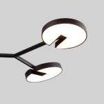 Потолочная люстра Favourite 4401-6C Paritet