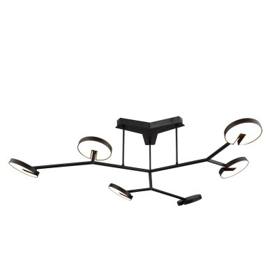 Потолочная люстра Favourite 4401-6C Paritet