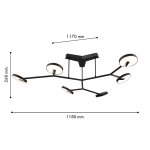 Потолочная люстра Favourite 4401-6C Paritet