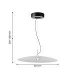 Подвес Favourite 4410-1P Lars