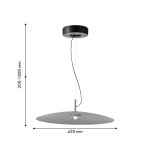 Подвес Favourite 4412-1P Lars