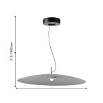 Подвес Favourite 4412-2P Lars