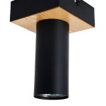 Потолочный светильник Favourite 4431-1C Olson