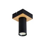 Потолочный светильник Favourite 4431-1C Olson