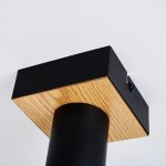 Потолочный светильник Favourite 4431-1C Olson