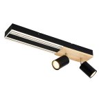 Потолочный светильник Favourite 4437-2C Olika