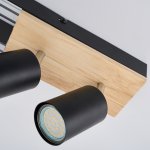 Потолочный светильник Favourite 4437-2C Olika