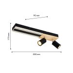 Потолочный светильник Favourite 4437-2C Olika