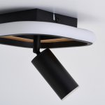 Потолочный светильник Favourite 4439-1C Olika