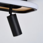 Потолочный светильник Favourite 4439-2C Olika