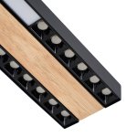 Потолочный светильник Favourite 4440-2C Zebra