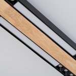 Потолочный светильник Favourite 4440-2C Zebra