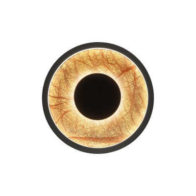 Настенный светильник Favourite 4445-1W Tallar