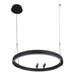 Подвесная люстра Favourite 4474-1P Slinga