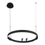 Подвесная люстра Favourite 4474-1P Slinga