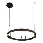 Подвесная люстра Favourite 4474-1P Slinga