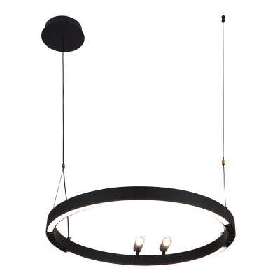 Подвесная люстра Favourite 4474-1P Slinga