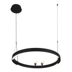 Подвесная люстра Favourite 4474-1P Slinga